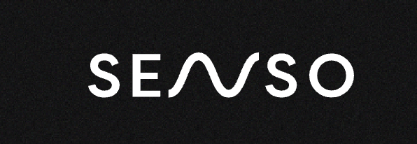Senso logo